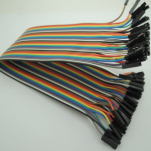 30CM Rainbow Cavo 40P Femmina to Femmina