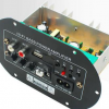 High-power Car Enthusiast Car Subwoofer Scheda di amplificazione Card USB Remote 12V24V220V