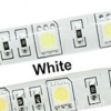 5050 SMD 12V 60Leds/Meter White IP65 Impermeabile 5M/Reel , Price For 5M/Reel