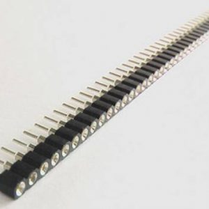 Perno tondo femmina 2 pezzi 1 * 40pins