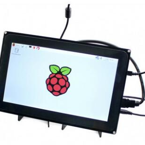 LCD HDMI da 10,1 pollici (con custodia)