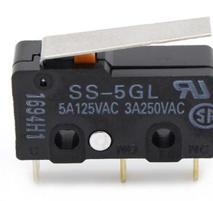 SS-5GL Limit Pulsante End Stop Pulsante