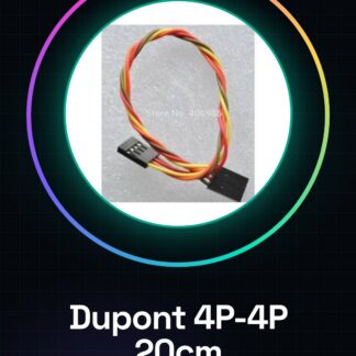 4P-4P Dupont Cavo Lunghezza 20CM