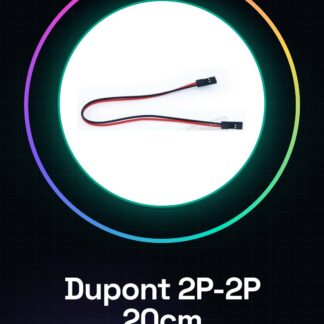 2P-2P Dupont Cavo Lunghezza 20CM