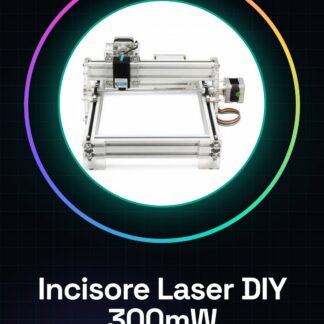 300mW Desktop DIY Incisore Laser Macchina Incisione