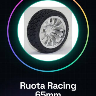 Racing Wheel 65MM Diameter Silver Rim 10 Spoke