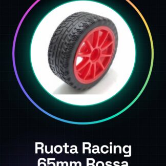 Roue de course rouge 65MM diamètre 10 rayons