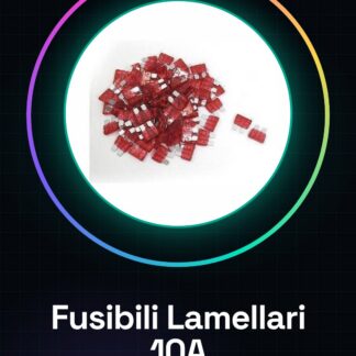 100PCS Fusibili lamellari 10A media dimensione