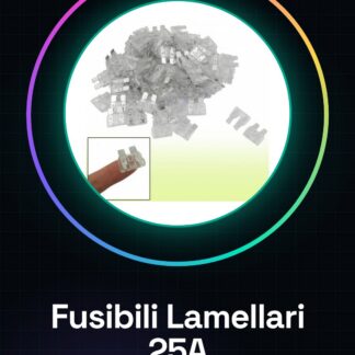 100PCS Fusibili lamellari 25A media dimensione