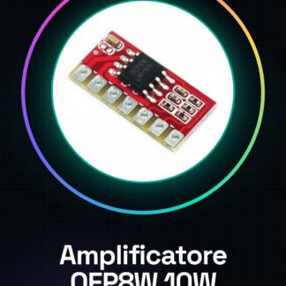 Scheda amplificatore di potenza digitale OEP8W / modulo mono / doppia batteria al litio 7,2 V / 8,4 V altoparlante differenziale da 10 W ad alta potenza