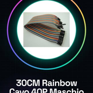 Câble Rainbow 40P 30CM Mâle à Mâle