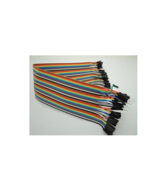 30CM Rainbow Cable 40P Male to Female - Image 2
