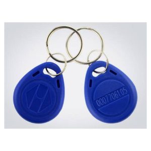 2 Pezzi Portachiavi RFID NFC Tag Leggibili 125Khz EM4100 ID Card