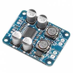TPA3118 BTL 60W Mono Digitale Audio Power Scheda di amplificazione Modulo DC 12V-24V