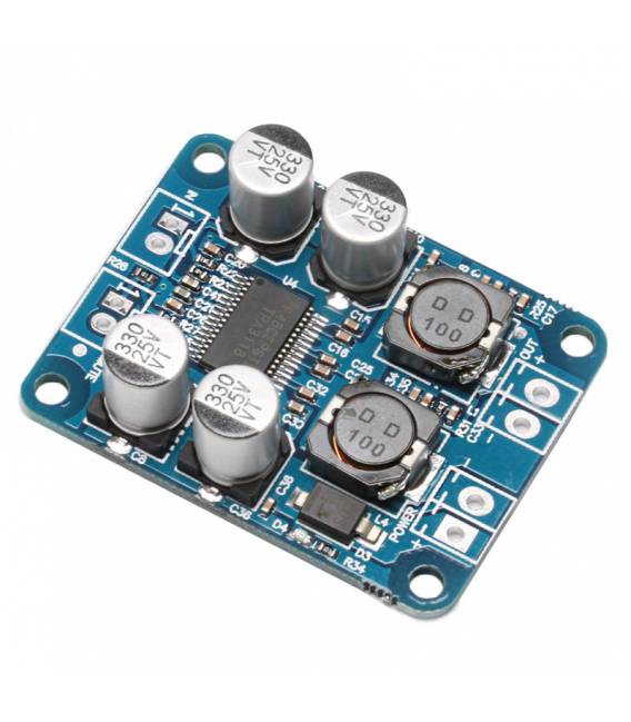 TPA3118 BTL 60W Mono Digitale Audio Power Scheda di amplificazione Modulo DC 12V-24V