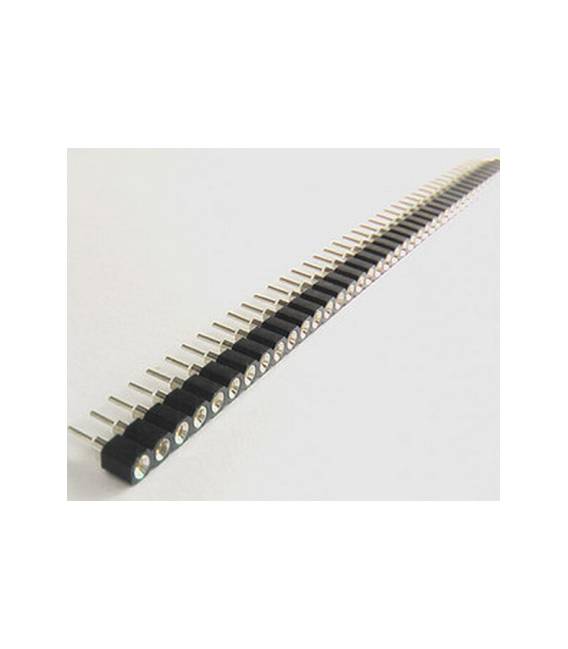 Perno tondo femmina 2 pezzi 1 * 40pins