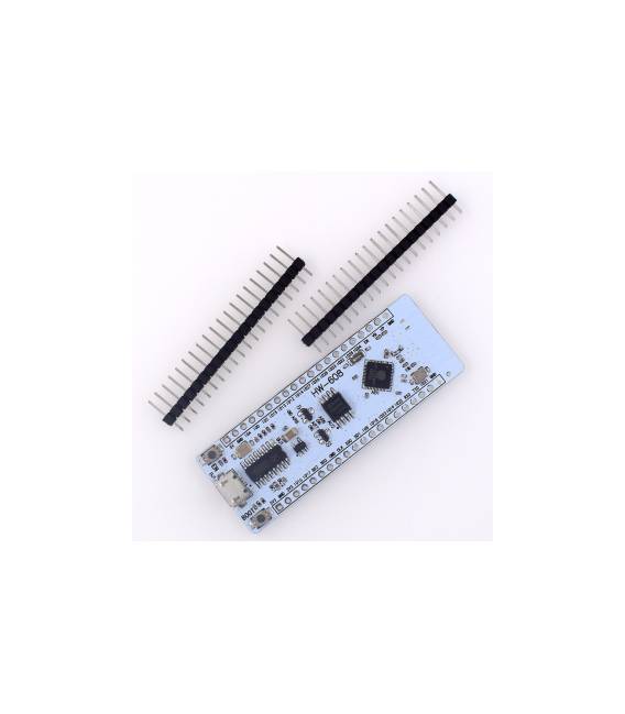 Scheda di sviluppo AIR ESP32 / modulo integrato dual-core Bluetooth WIFI 16M