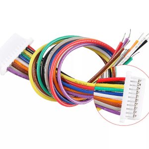 2 pezzi Cavi Mini Micro SH1.0 12 pin JST da 100 mm estremità singola