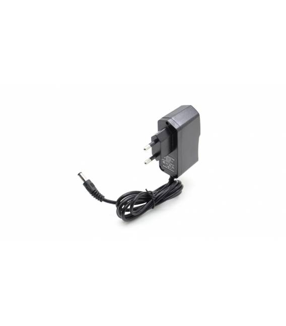 Alimentatore Universale EU 9V 1A 2 PIN AC-DC MV12-Y090100-C5 I.T.E.