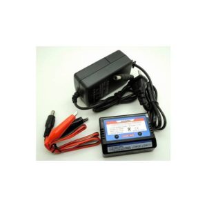 Modello Planes 1000mA Balance Charger 2S / 3S 7.4V 11.1V Li-Po / LI-ION Batteria + Cavo di ricarica