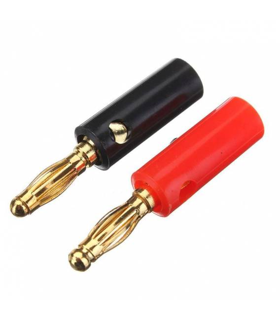 2 Pezzi Connettore Banana 4MM terminali per diffusori audio casse