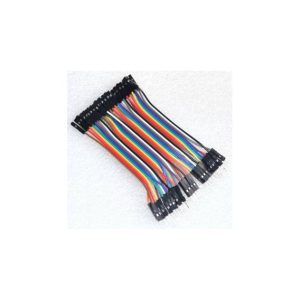 10CM Rainbow Cavo 40P Maschio to Femmina
