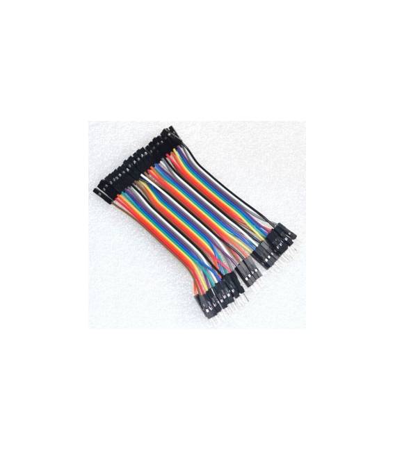 10CM Rainbow Cavo 40P Maschio to Femmina