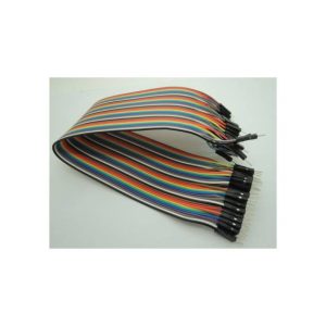 30CM Rainbow Cavo 40P Maschio to Maschio