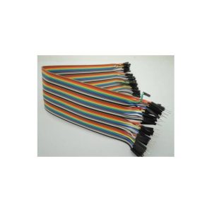 30CM Rainbow Cavo 40P Maschio to Femmina