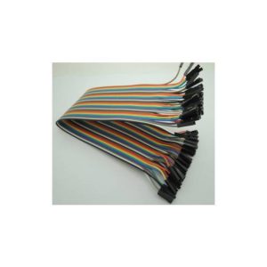 30CM Rainbow Cavo 40P Femmina to Femmina