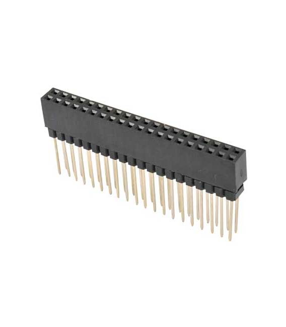 Pin femmina da 2 * 20p 2,54 mm 12,2 mm