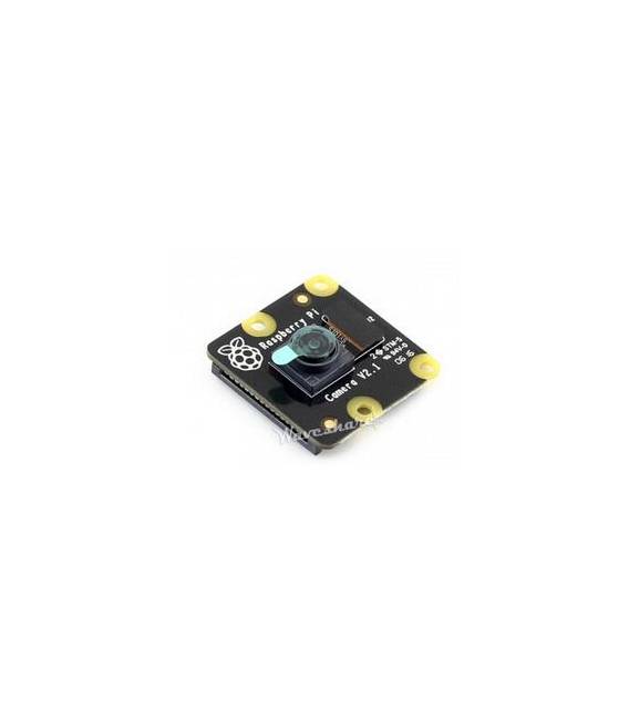 RPi NoIR Camera V2, supporta la visione notturna