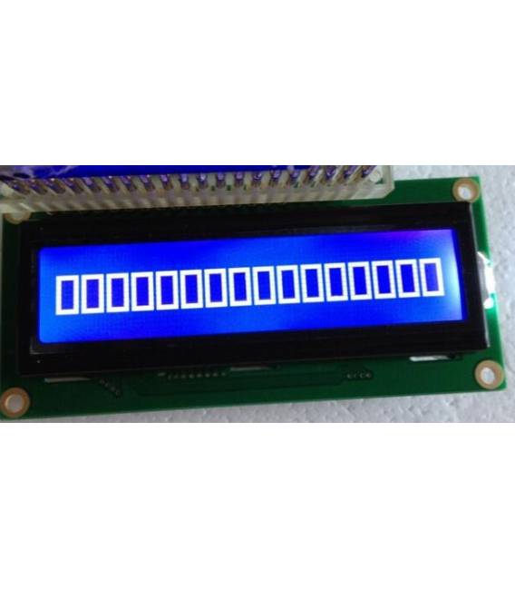 Display LCD Blu 1601