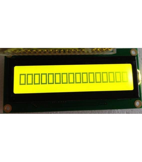 LCD verde 1601