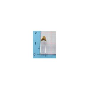 10 Pezzi Monolitico Condensatore 105 1UF 50V pin pitch 5.08MM Promise capacitance